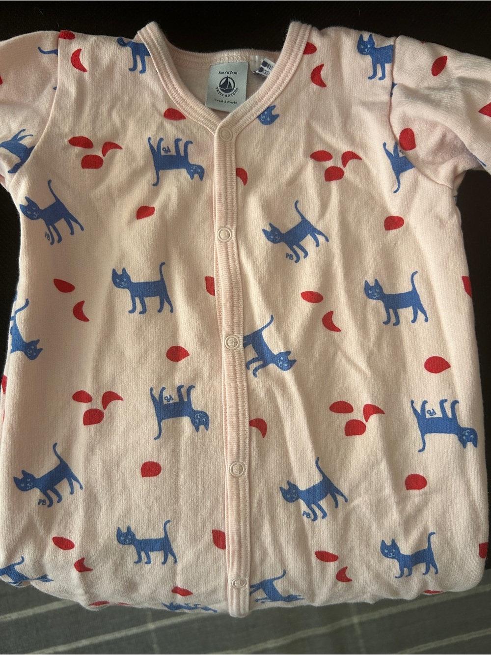 Petit Bateau Light Pink One-Piece Footie with Blue Cat and Red Leaf Print